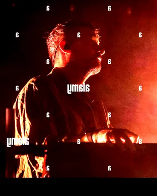 Bonobo