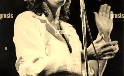 David Essex