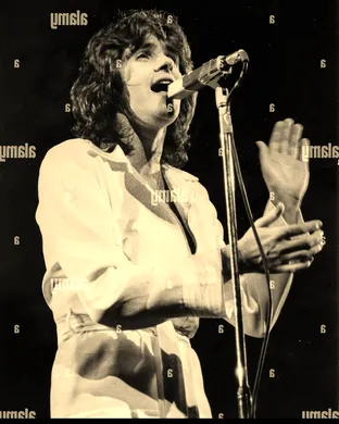 David Essex