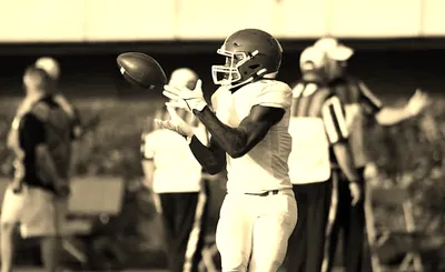 Delaware State Hornets Football
