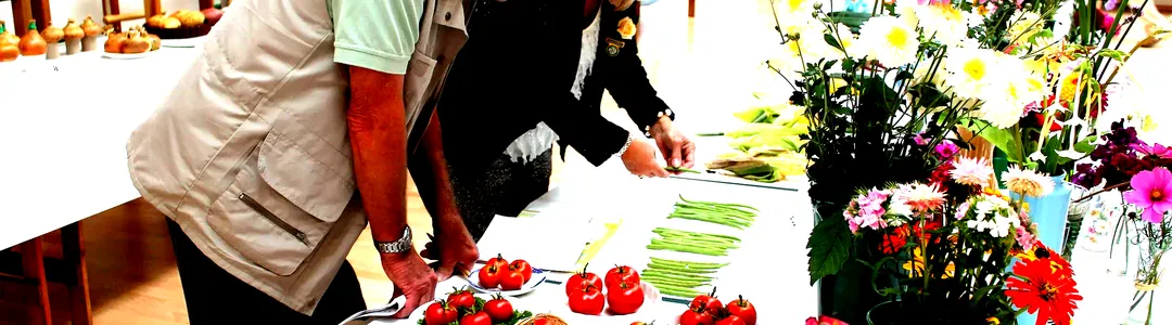 Flower Show