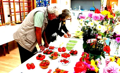 Flower Show