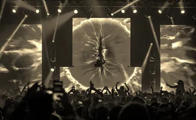 Seven Lions