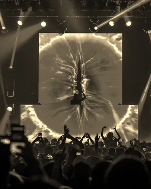 Seven Lions