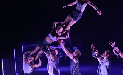 Gravity & Other Myths' Ten Thousand Hours