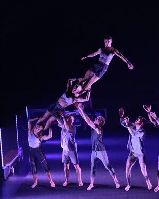 Gravity & Other Myths' Ten Thousand Hours