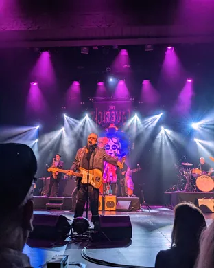 The Mavericks