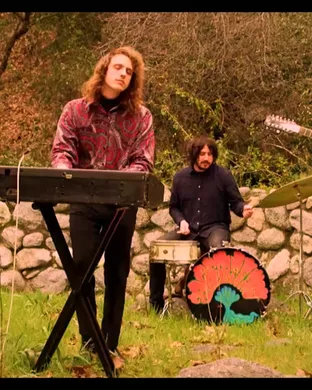 Triptides